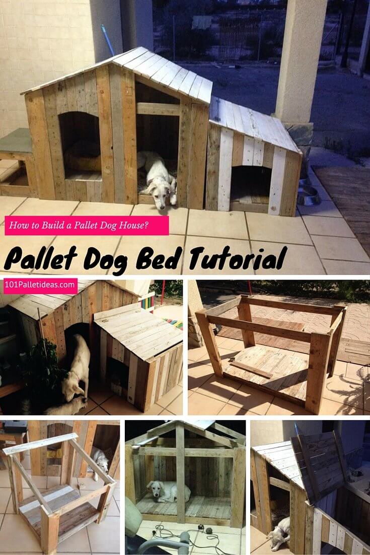 this pallet house has only been specified for a one little lovely dog 