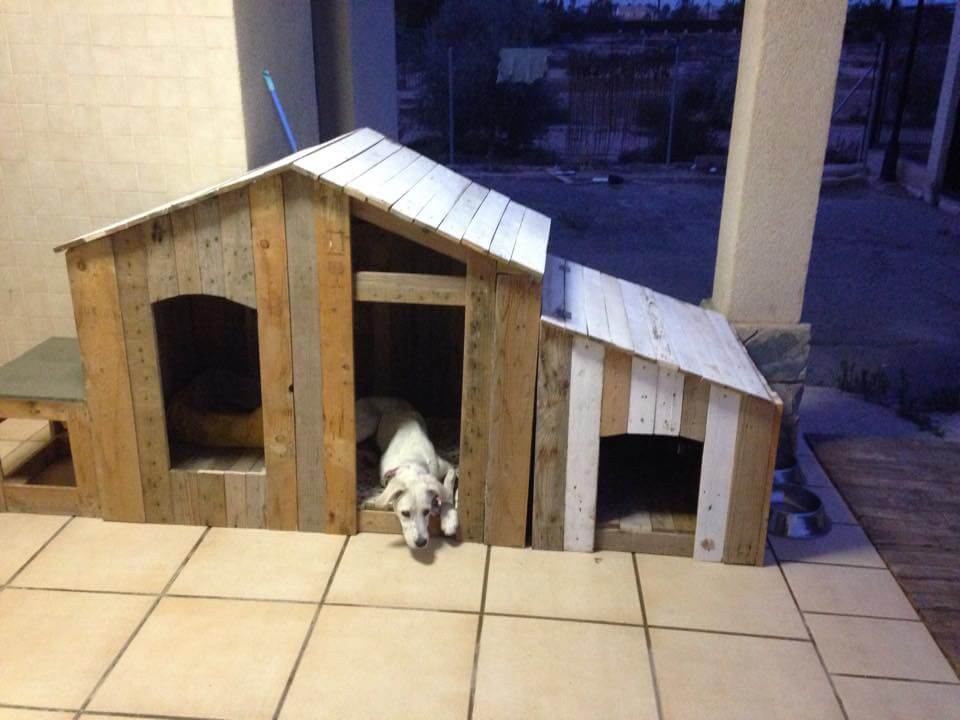 How to Build a Pallet Dog House? - DIY